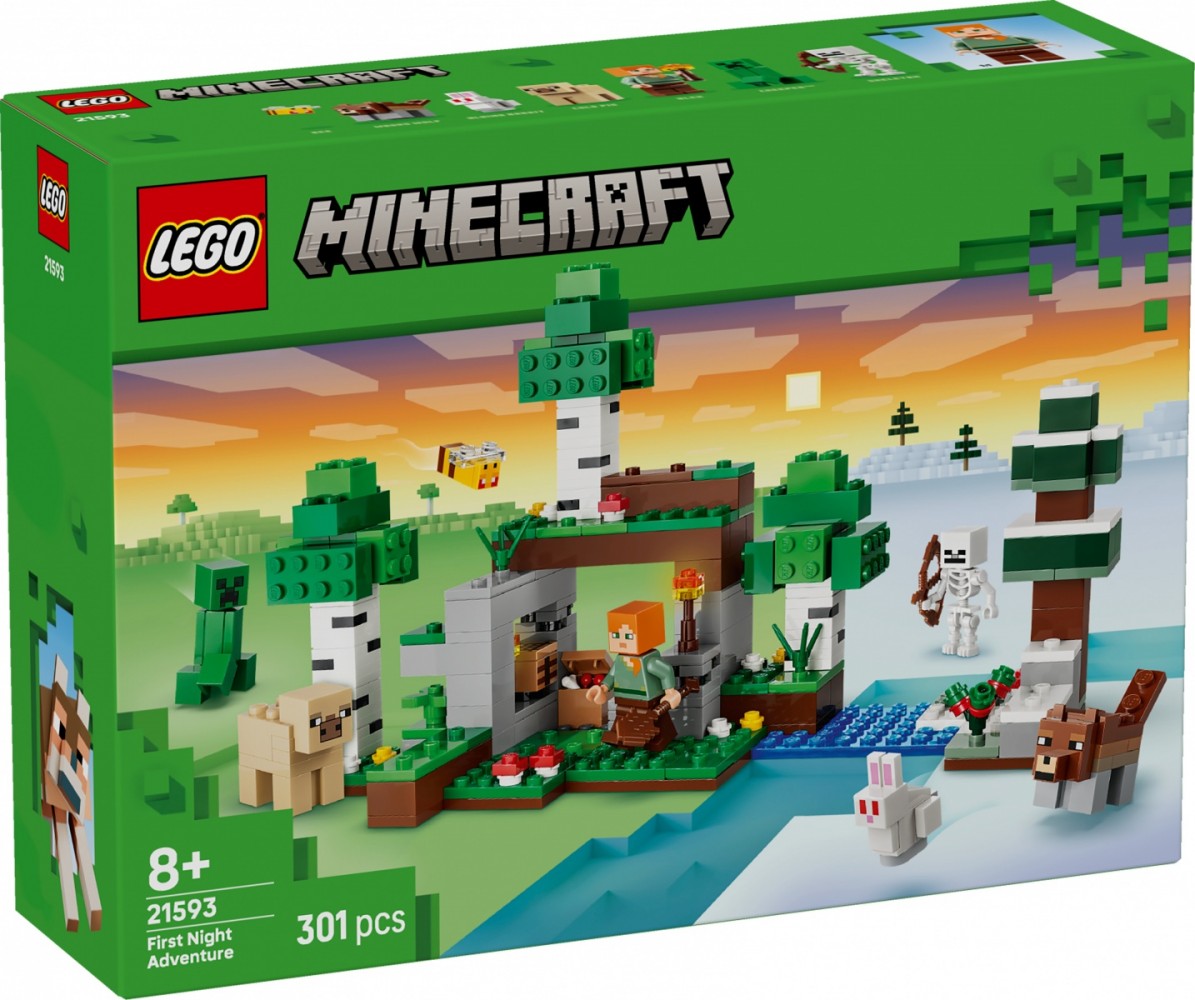 LEGO Blocks Minecraft 21593 First Night