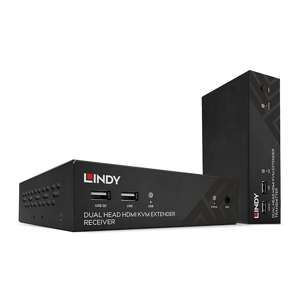LINDY 100m Cat.6 Dual Head