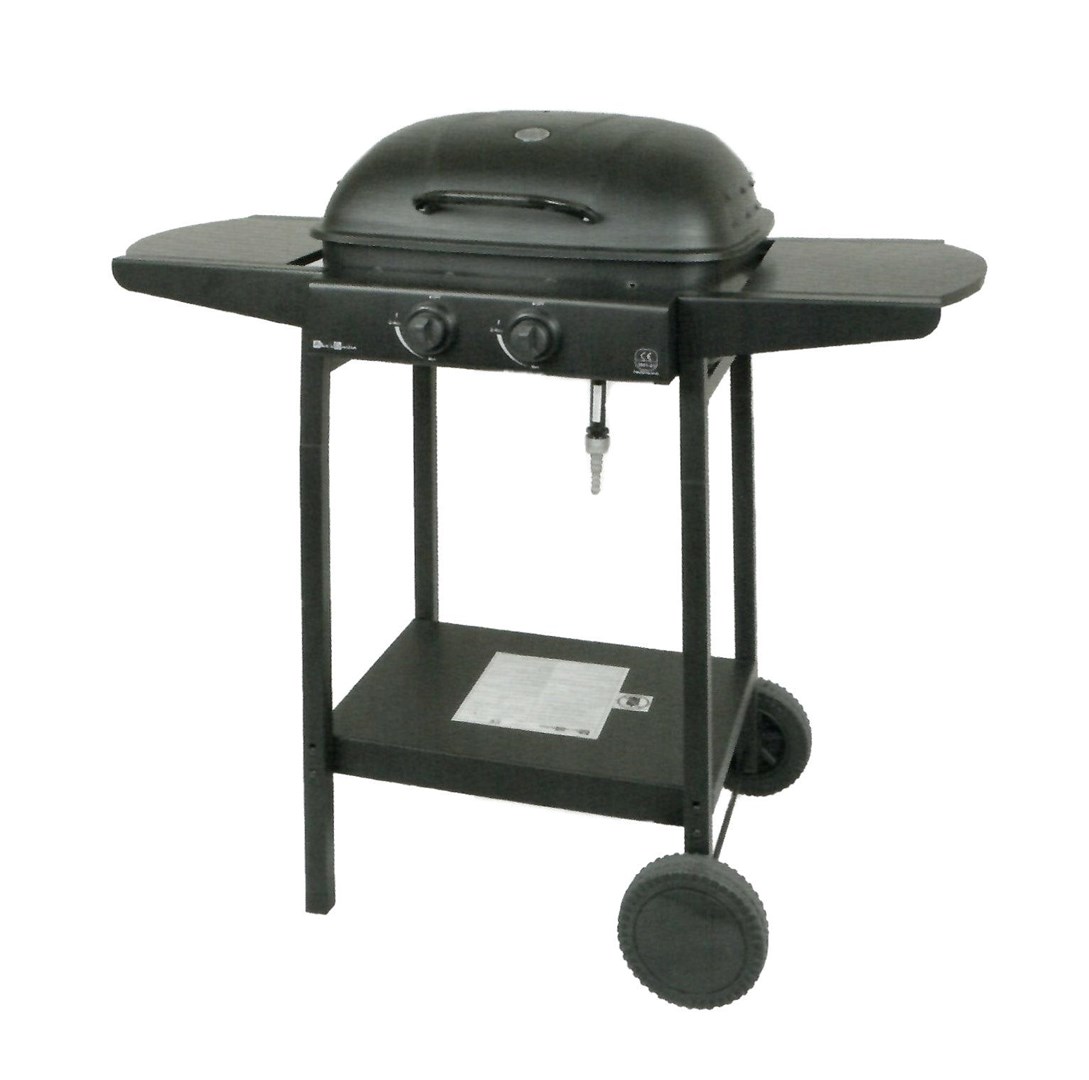 MASTER GRILL Master gas grill 2-burner