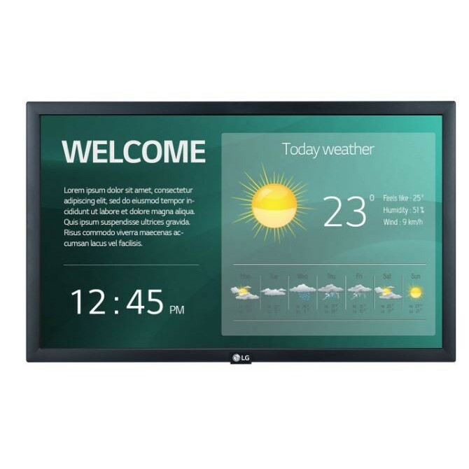 LG Electronics  Monitor 22 inches 22SM3G