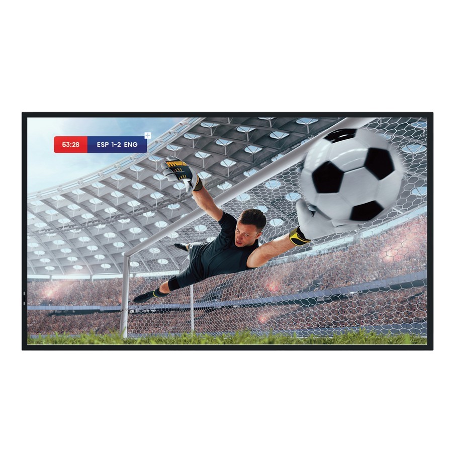 HISENSE Monitor 55DM66D 55 inches 4K