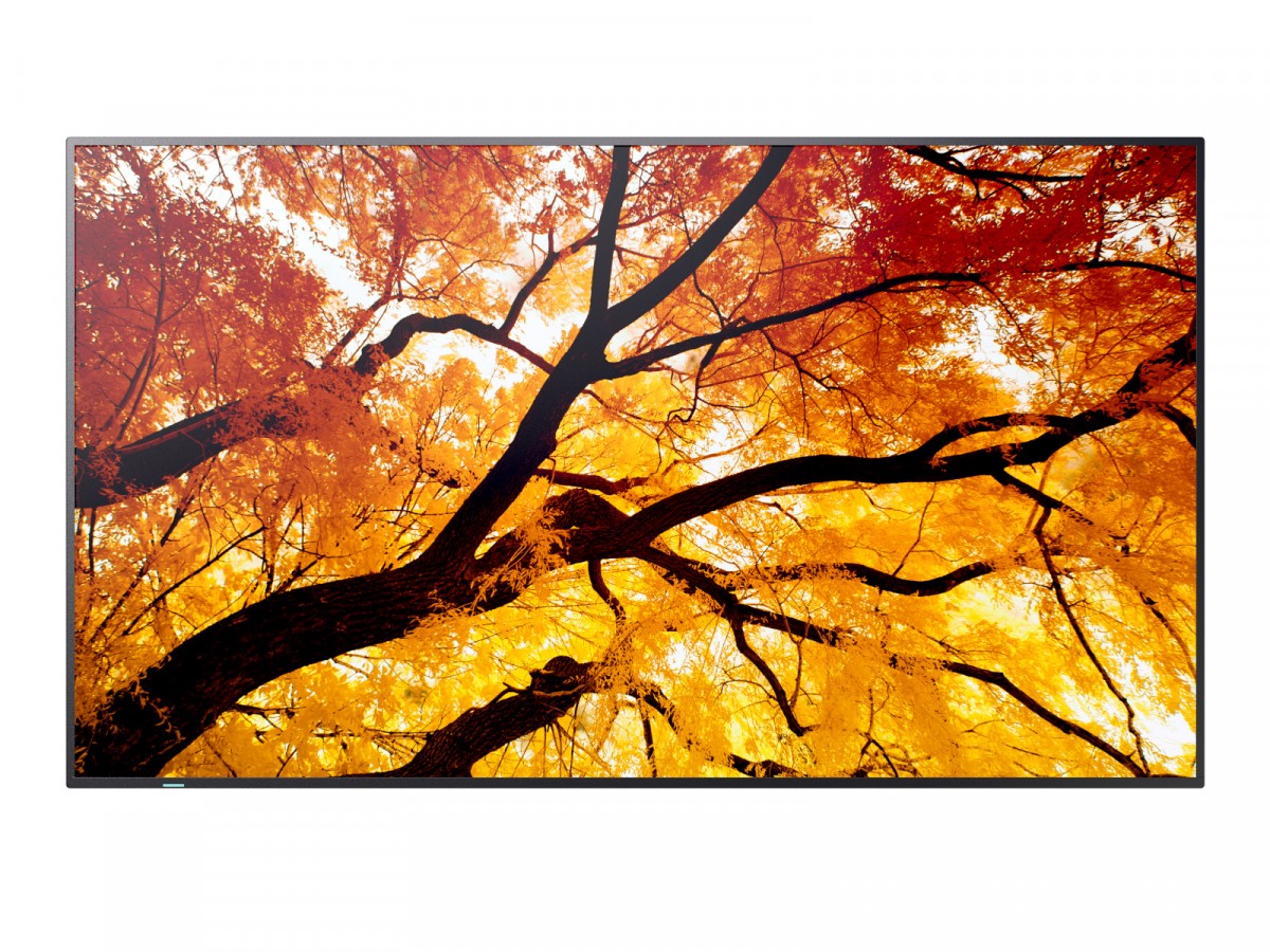 Sharp  Monitor M652 65 inches 24/7