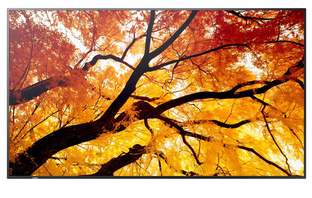 Sharp  Monitor MultiSync M502 50 inches