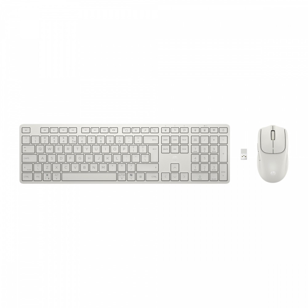 HP Inc. Mouse and Keyboard Combo