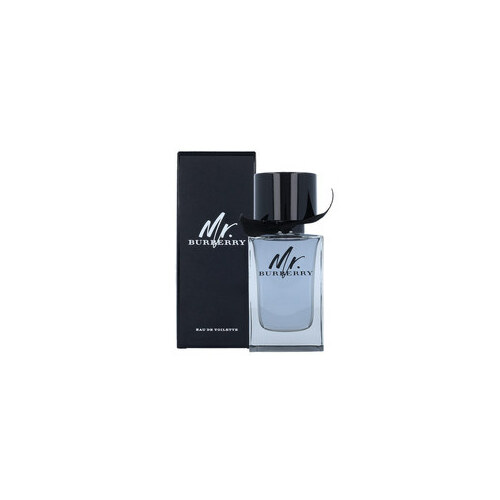 BURBERRY Mr.  EDT (Man, 100ml) |
