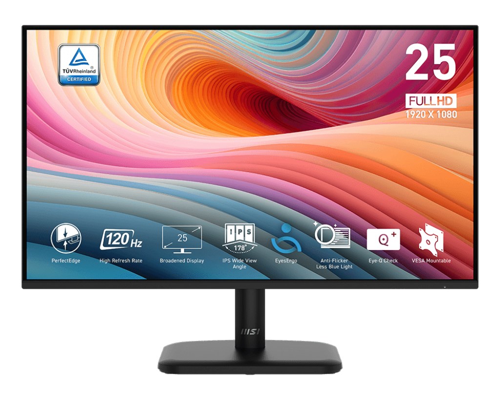 MSI  PRO MP251L E2 computer monitor