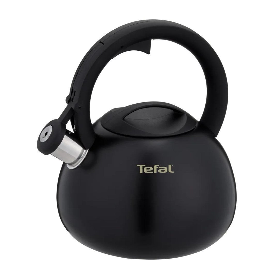 Tefal Non-Electric Kettle  N4180410, Black, Matte