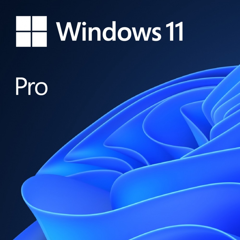 Microsoft (OEM) Microsoft OEM Windows 11