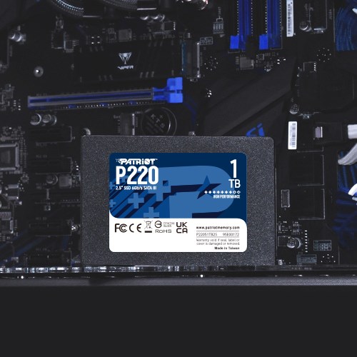 Patriot Memory Patriot SSD 1TB P220