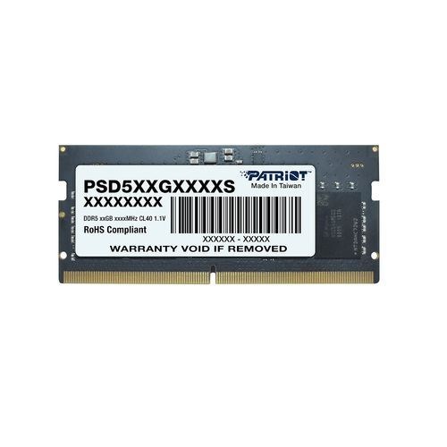 Patriot Memory  Signature PSD516G560081S memory module