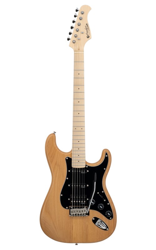 No name Prodipe Guitars ST93A NAT