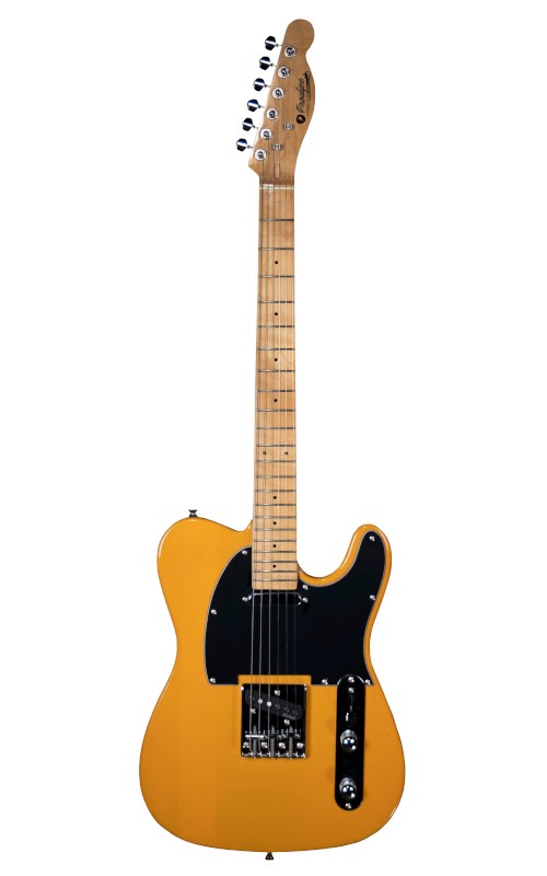 No name Prodipe Guitars TC80MA BS