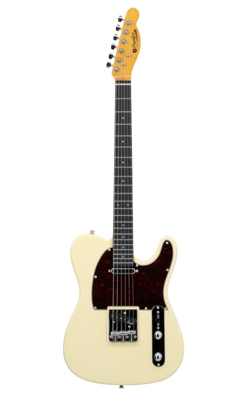No name Prodipe Guitars TC80RA  VW