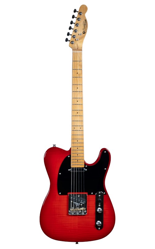 No name Prodipe Guitars TC90A RD