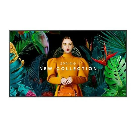 SAMSUNG  Professional monitor QM55C 55 inches