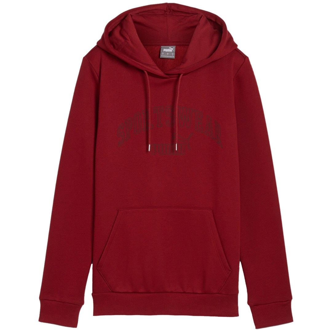 PUMA Ess+ Logo LAB Hoodie FL