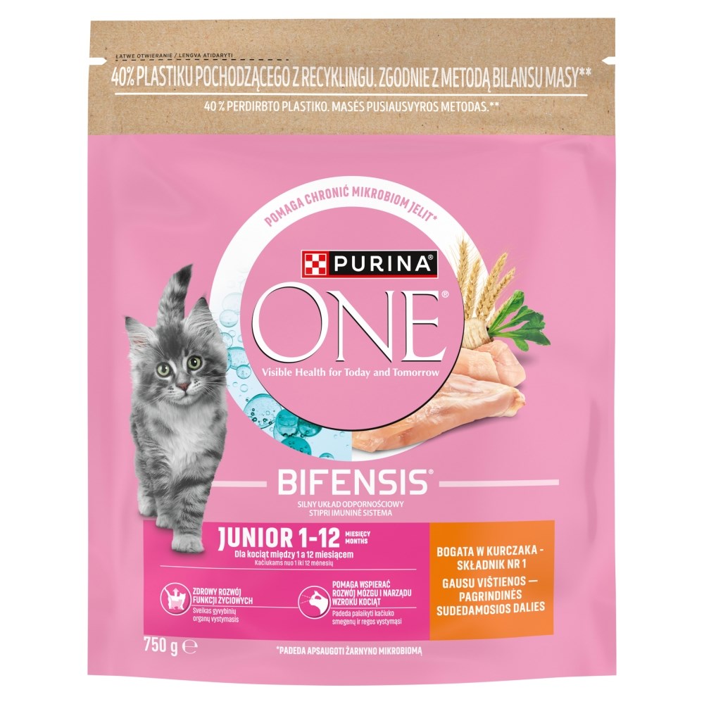 PURINA NESTLE PURINA One Bifensis Junior
