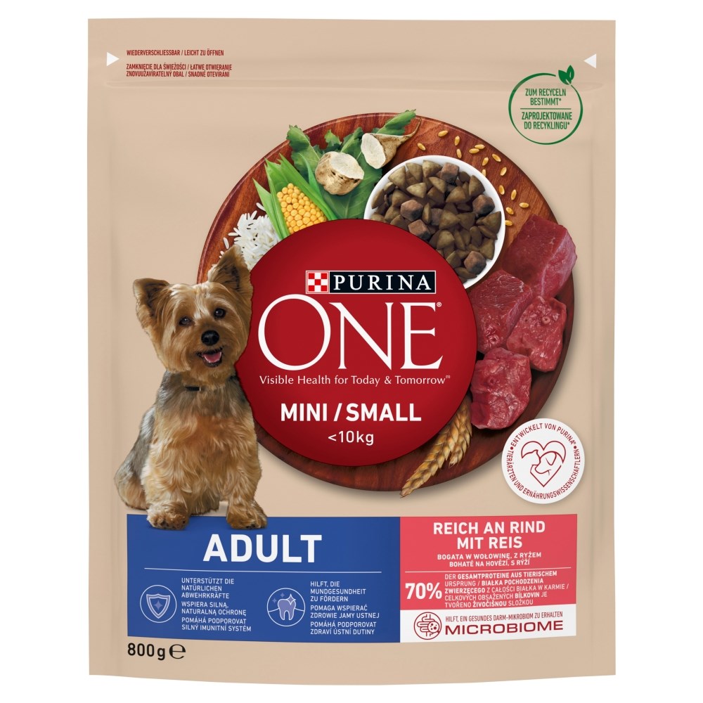 PURINA NESTLE PURINA One Mini Adult