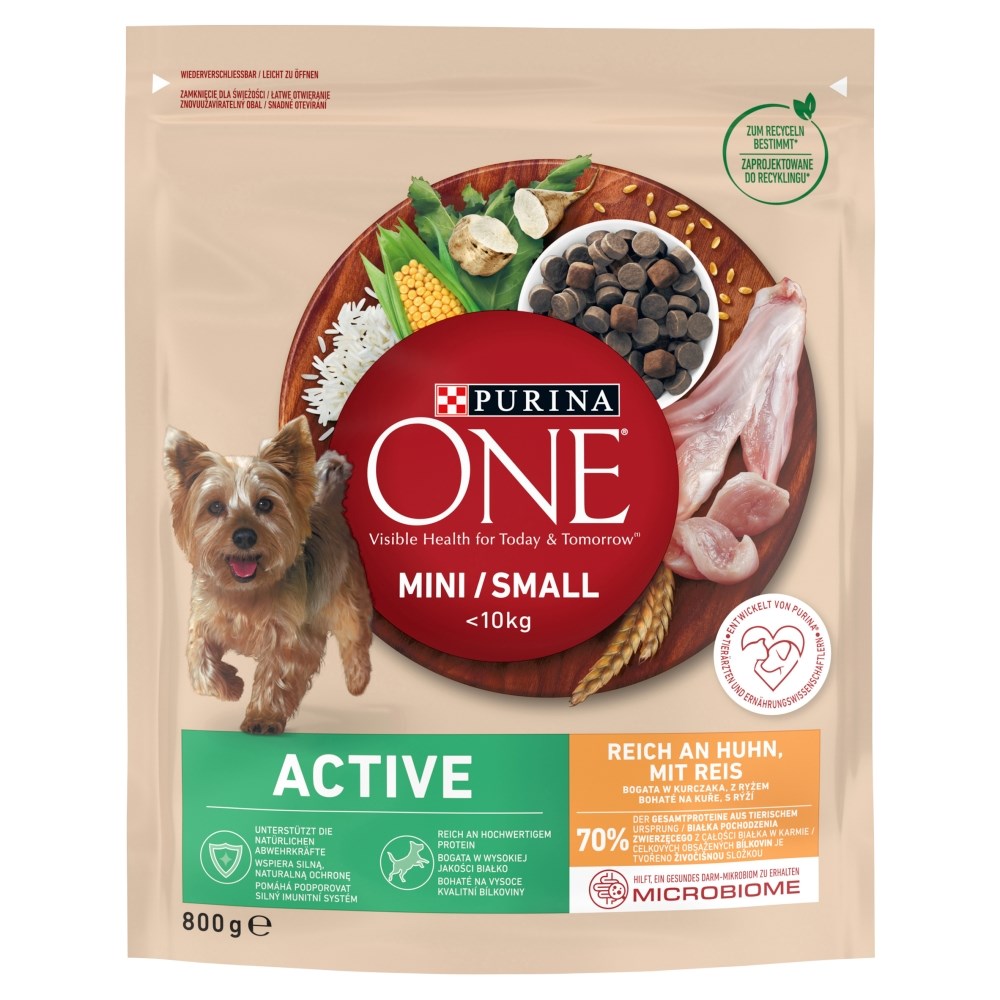 PURINA NESTLE PURINA One Mini/Small Active