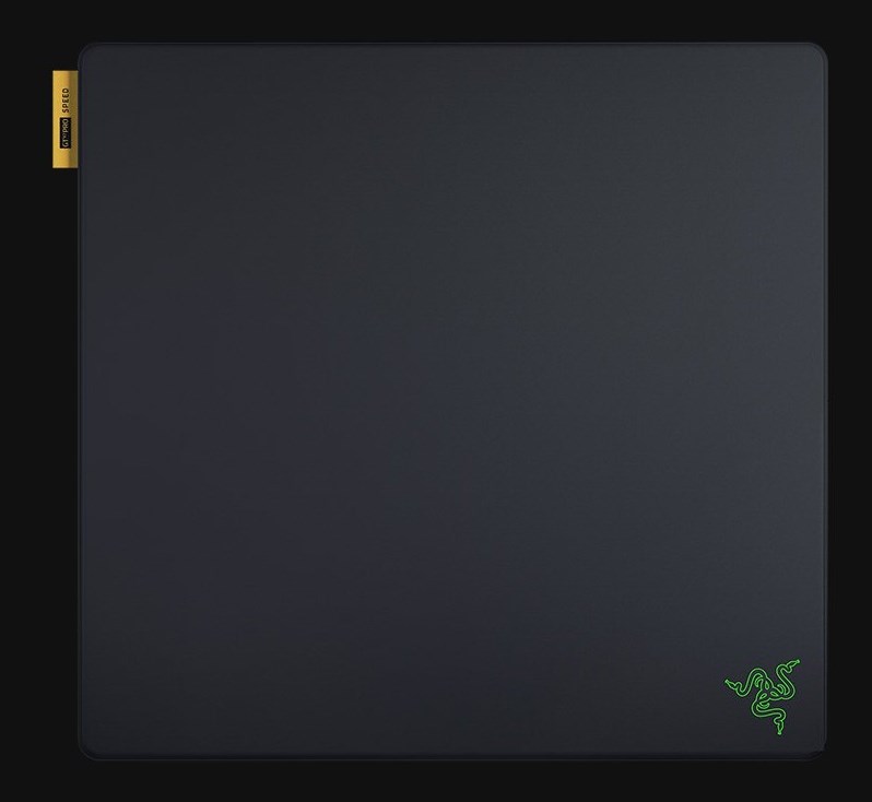 RAZER  Gigantus V2 Pro Gaming mouse