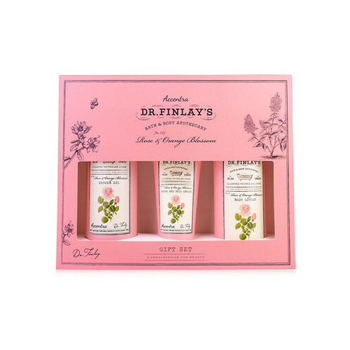 Accentra Rose & Orange Blossom Dr