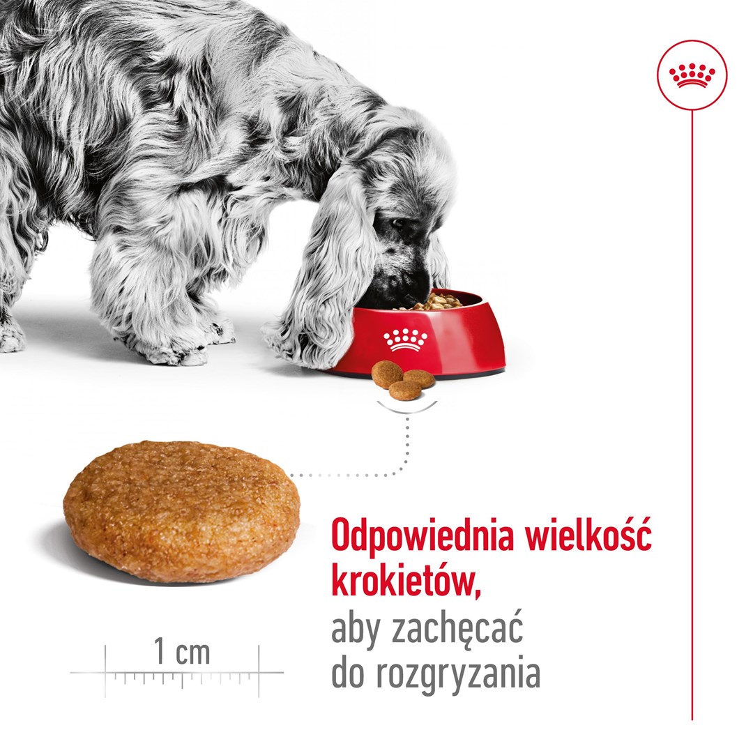 Royal Canin  Adult Medium - dry