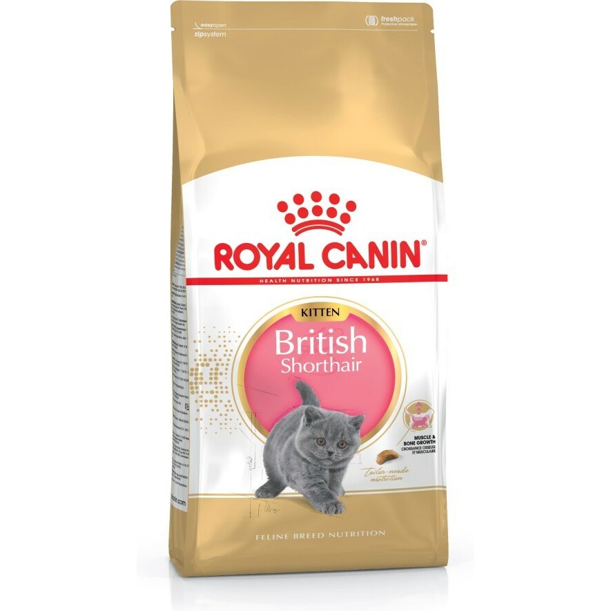 Royal Canin  British Shorthair Kitten cats