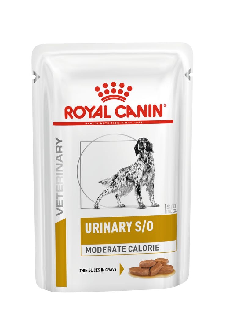 Royal Canin  Dog Urinary S/O Moderate