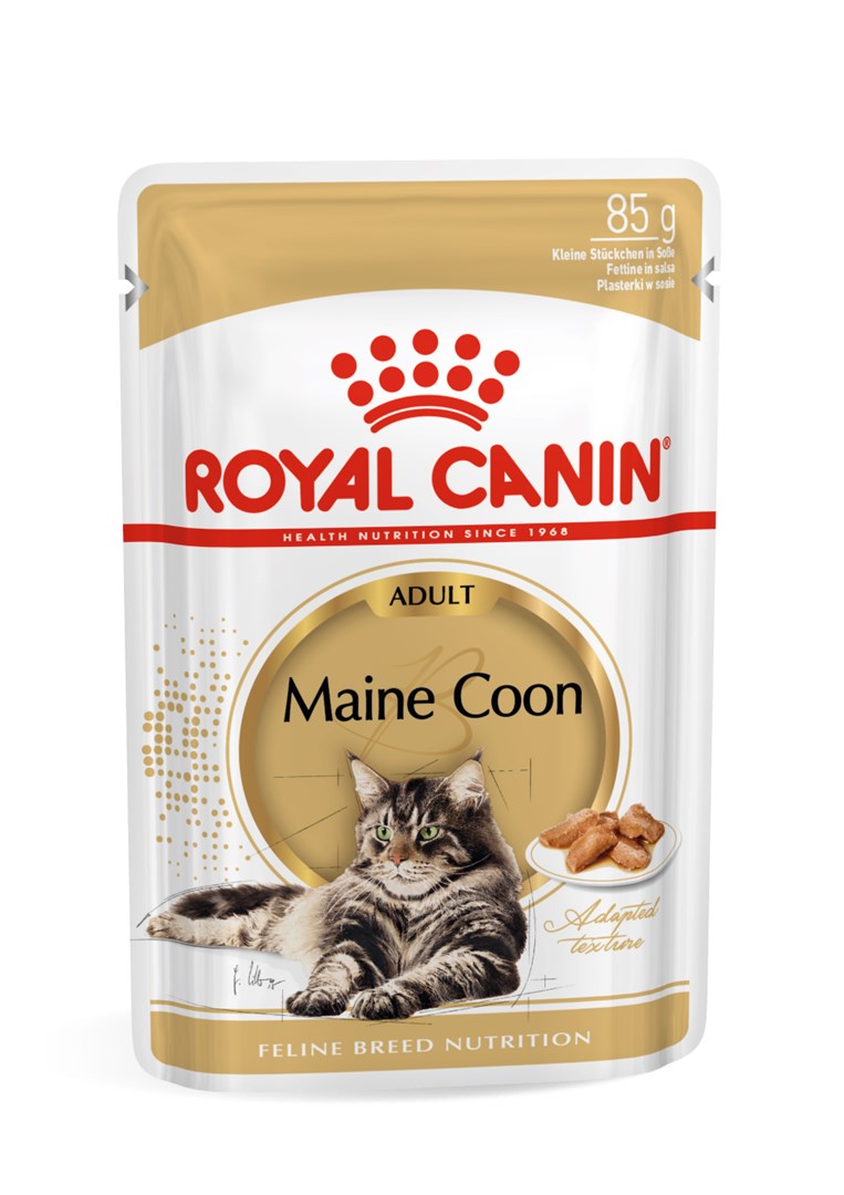 Royal Canin  FBN Maine Coon -