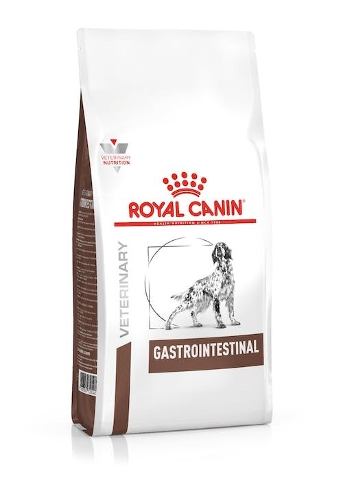 Royal Canin Gastrointestinal - dry dog