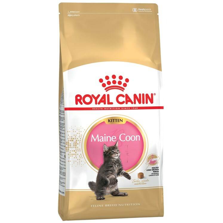 Royal Canin Maine Coon Kitten -