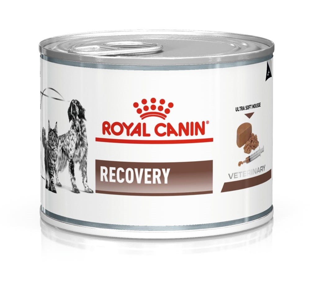 Royal Canin Recovery - Wet dog