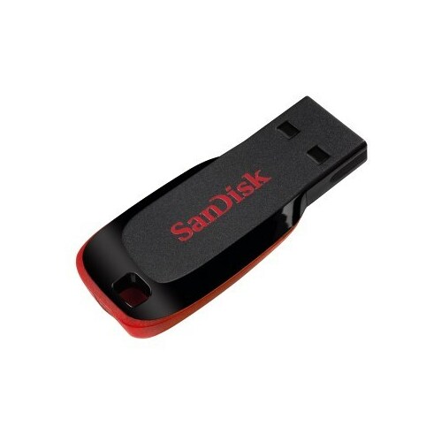 SANDISK Cruzer Blade USB Flash Drive