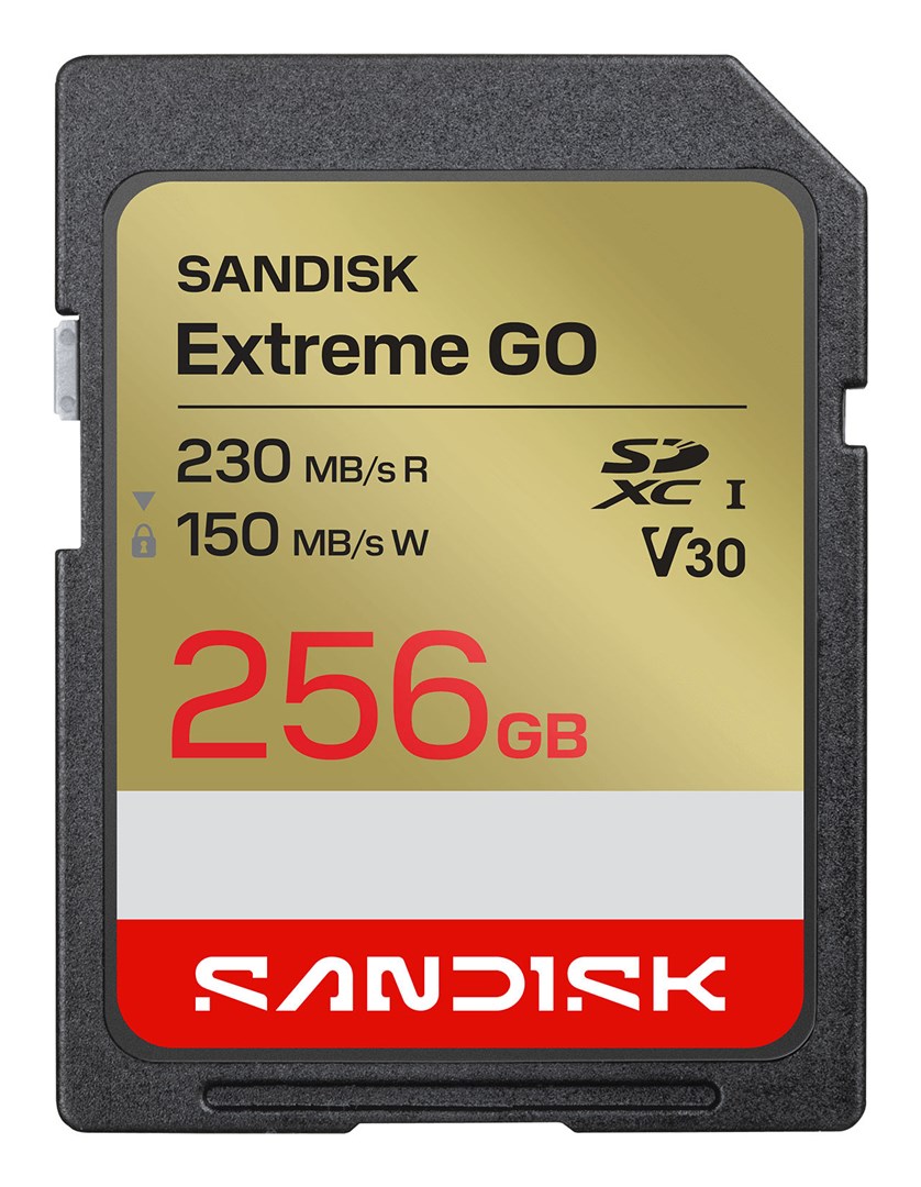 SANDISK Extreme GO 256 GB SDXC