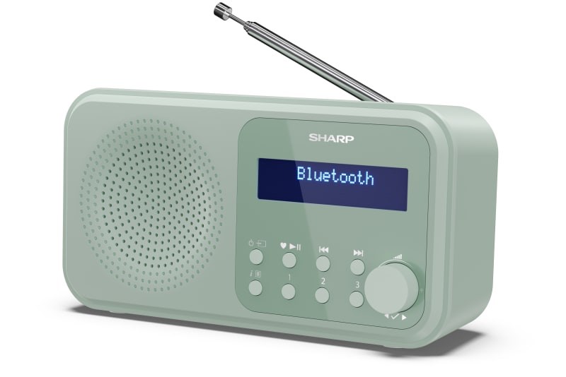 Sharp  DR-P420 Portable Digital Green |