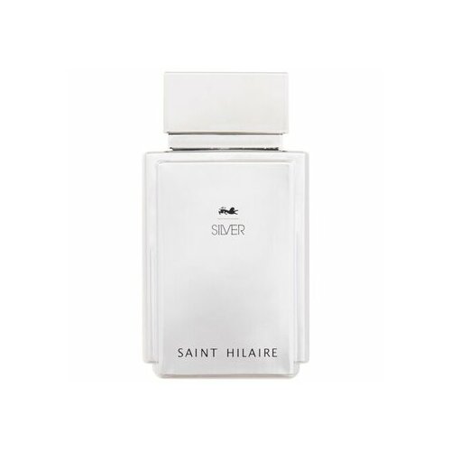 Saint Hilarie Silver EDP (Man, 100ml)