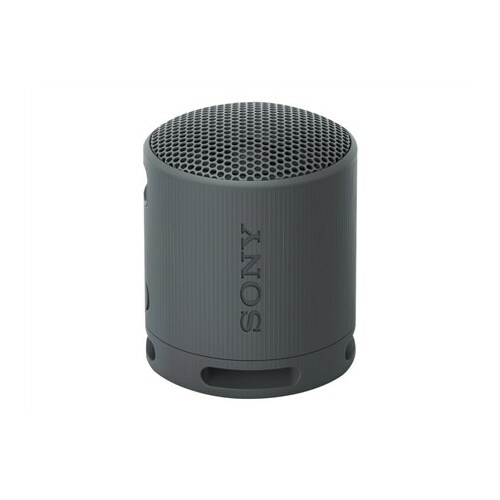 Sony SRS-XB100 - Wireless Bluetooth Portable