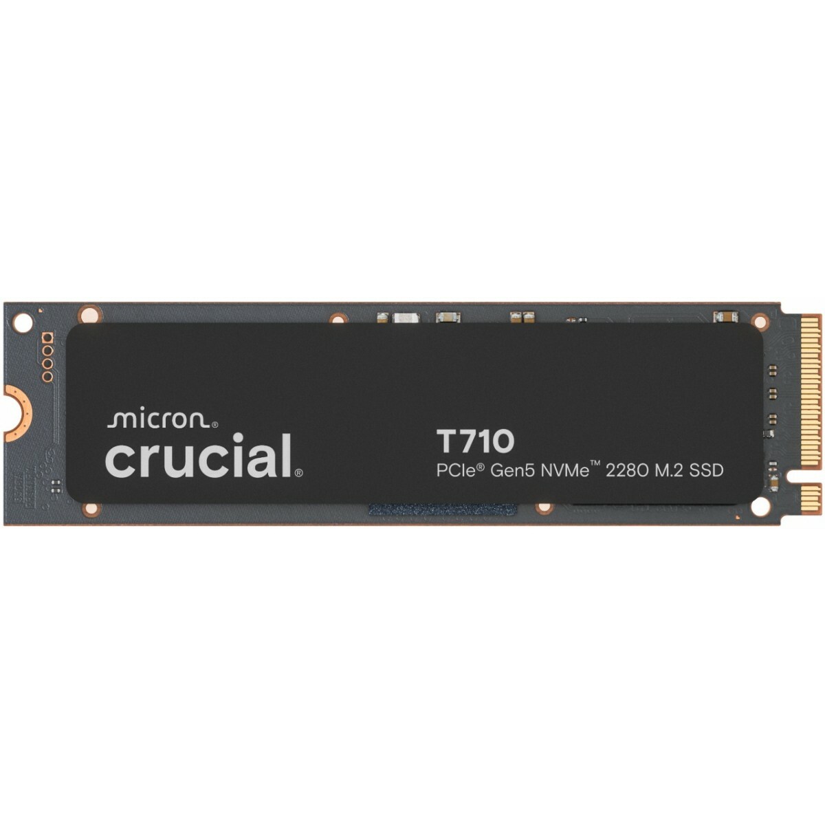 CRUCIAL  SSD T710 1TB M.2