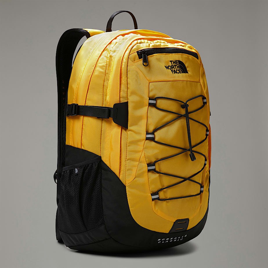 THE NORTH FACE  Borealis Classic backpack