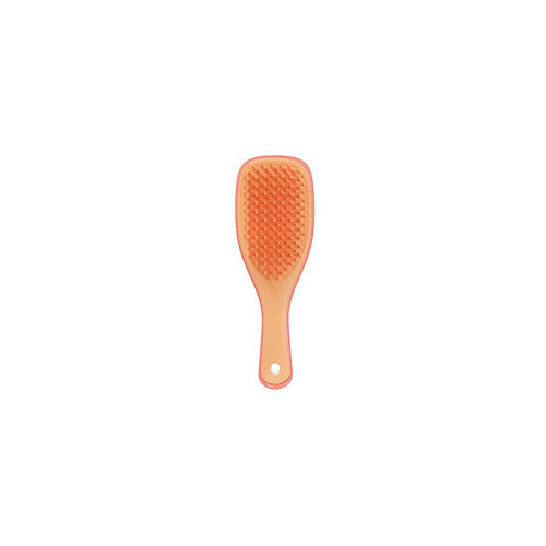 Tangle Teezer The Ultimate Detangler Mini