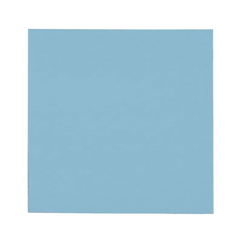 Thermal grizzly Minus Pad Pro, 100