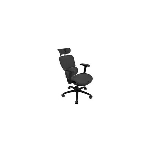 THUNDERX3  XTC Ergonomic Office Chair -