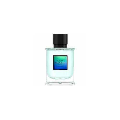 David Beckham True Instinct EDP (Man