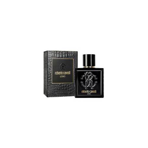 Cavalli Roberto Uomo EDT (Man, 100ml)