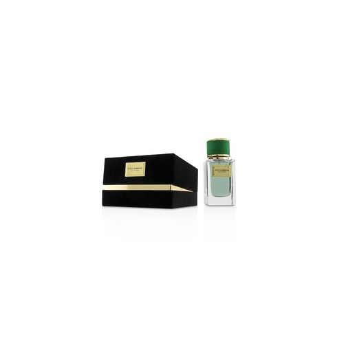 Dolce Gabbana Velvet Cypress EDP (Unisex