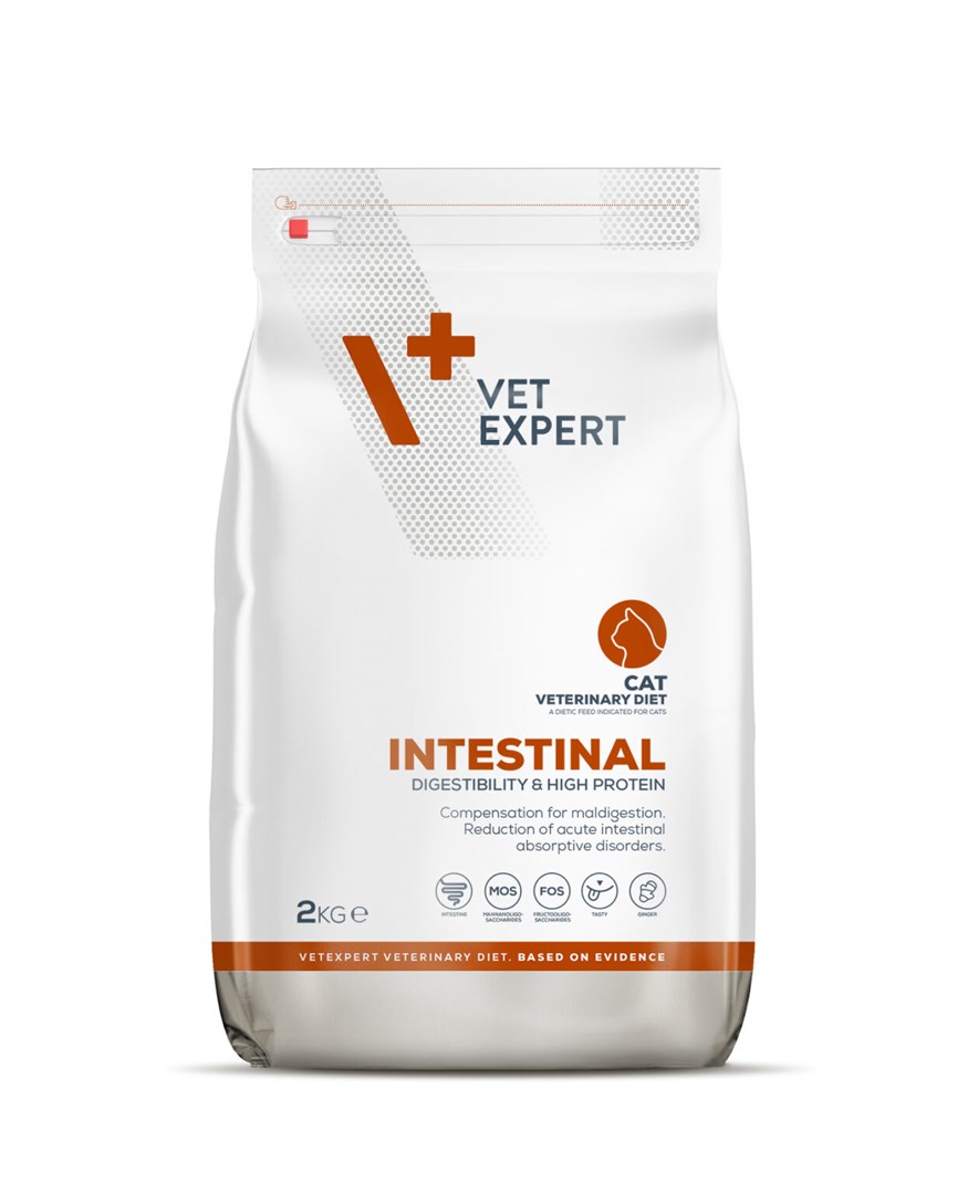 VetExpert Veterinary Diet Intestinal Cat -